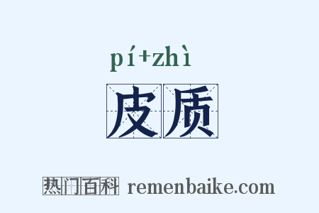 皮质是什么意思的图片